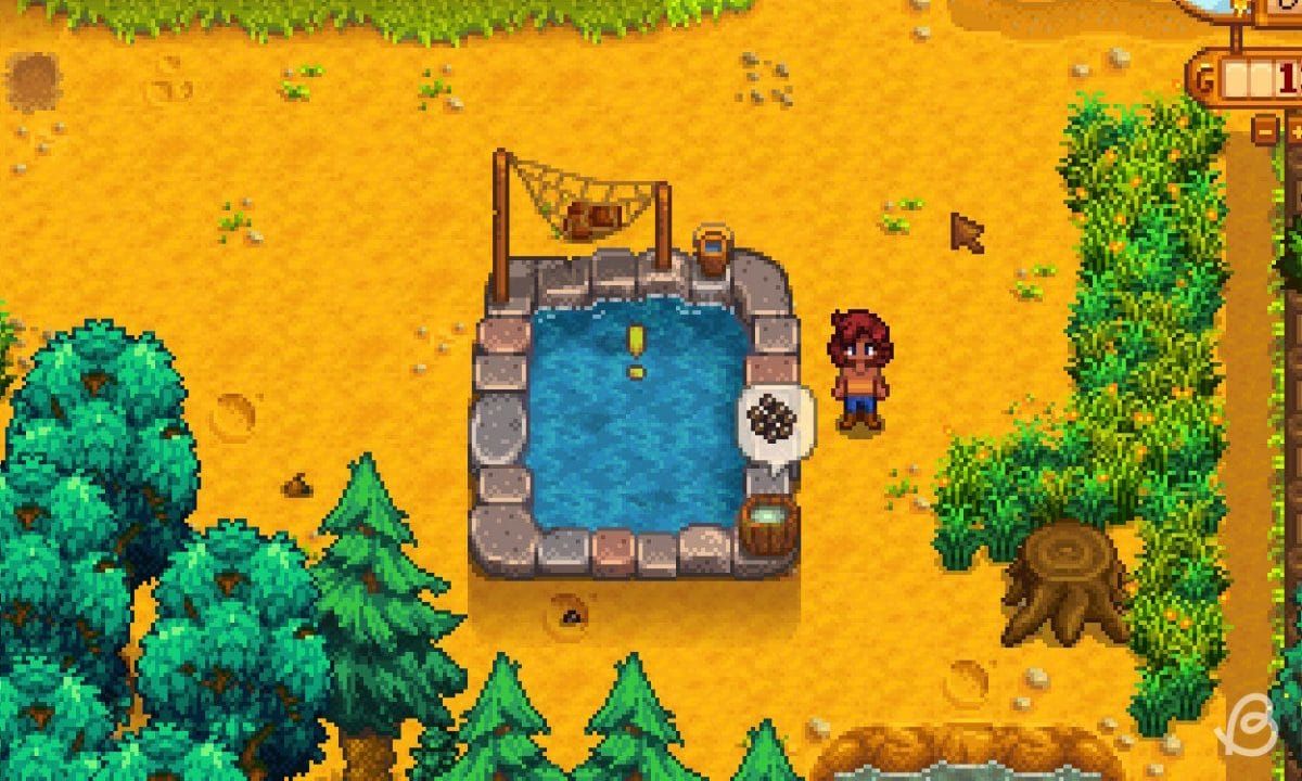 Player Next to Fish Pond - Sturgeon stardew valley