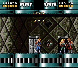 Battletoads / Double Dragon