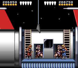 Battletoads / Double Dragon