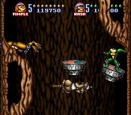 Battletoads in Battlemaniacs