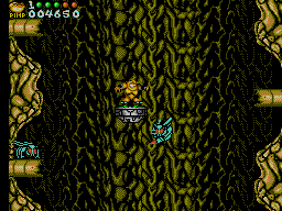 Battletoads in Battlemaniacs